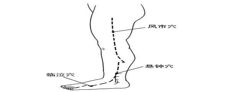 风市在人体的准确位置（风市的准确位置图和作用的准确位置图）