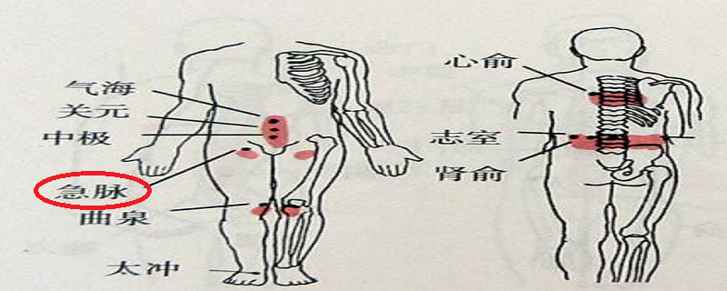 急脉的位置图片（急脉的准确位置图作用视频）