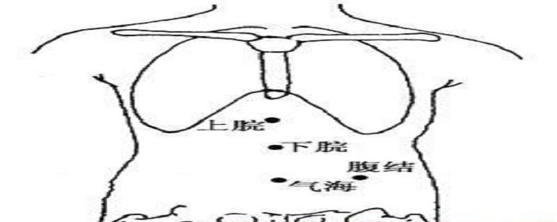 腹结的简单寻找 腹结的准确位置图和作用视频