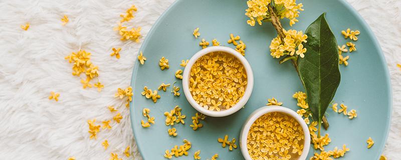 桂花泡蜂蜜有什么功效与作用 桂花蜜蜂蜜的作用与功效