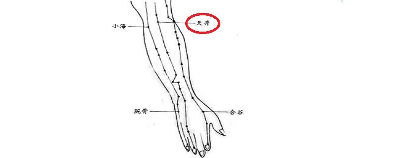 天井位置及功效（天井准确位置图和作用及功效）