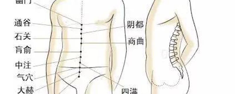 冲脉的准确走向位置图 任脉的准确走向位置图