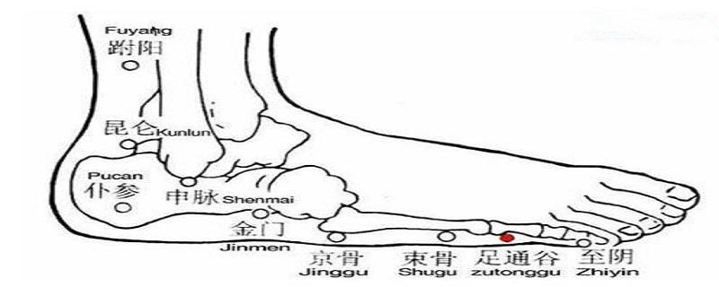 足通谷在什么位置图片（足通谷医学百科）