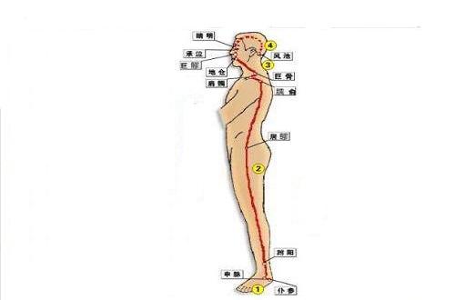 阳跷脉循行路线图片 阳跷脉的作用