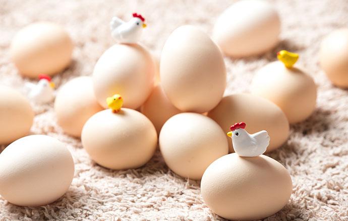 为什么吃鸡蛋能减肥（为什么吃鸡蛋能减肥第二天体重还涨了）