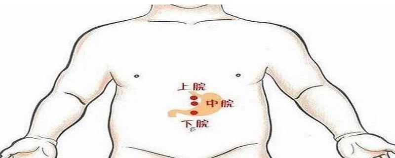 上脘在哪个位置（上脘在哪个位置图片）
