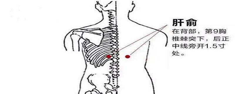 肝俞怎么找最简单（肝俞自己怎么找最简单）