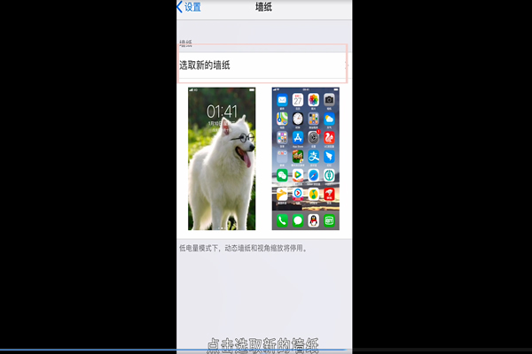 苹果手机怎么导入动态壁纸