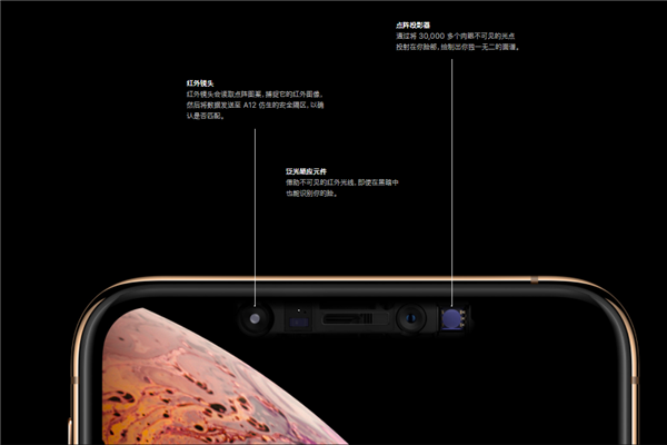 iphonexs支持面部识别吗