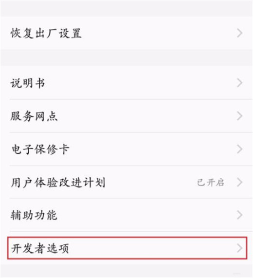 vivoz1青春版开发者选项在哪