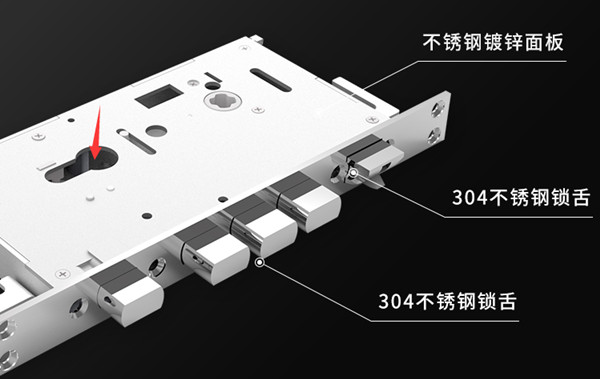 指纹锁的真、假插芯是什么意思