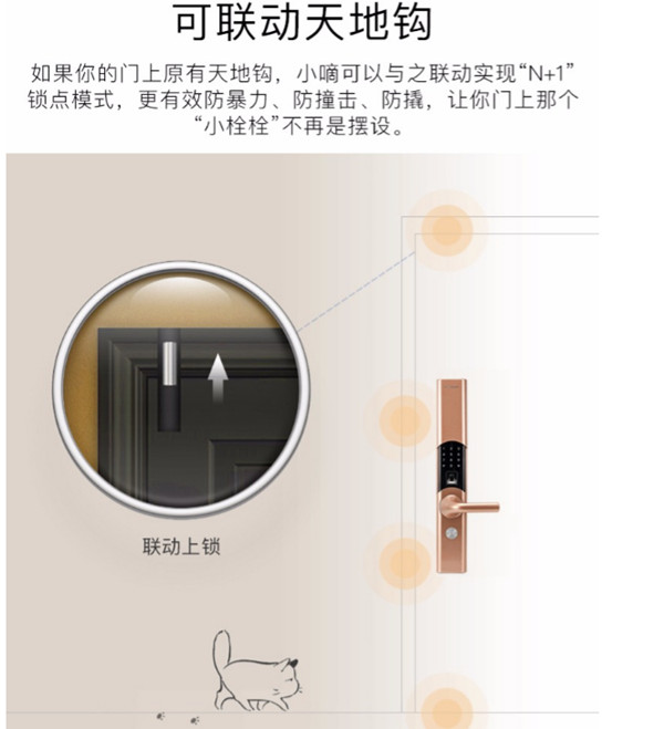 德施曼T86指纹锁是假插芯吗