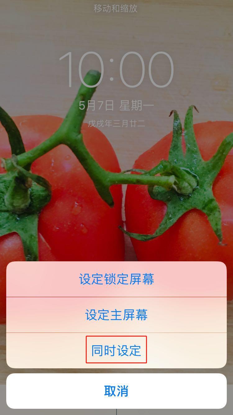 iphonex怎么设置壁纸