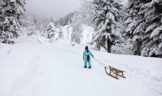 梦下雪代表着什么 梦倒下雪代表的意思