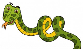 梦见绿色花纹蛇是什么意思 梦见绿色花纹蛇含义