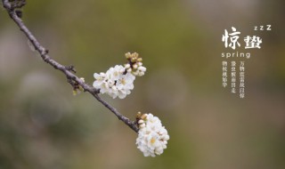 惊蛰是什么季节的几月 惊蛰的简介