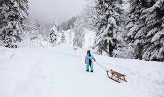 跳台滑雪运动员的滑雪板长度和什么因素有关 跳台滑雪运动员的滑雪板相关介绍