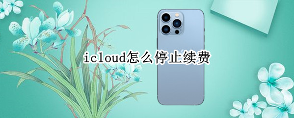 icloud怎么停止续费（如何停止续费icloud）