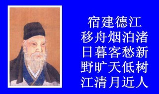 宿建德江表达了诗人怎样的情怀 诗人在宿建德江抒发了怎样的思想感情