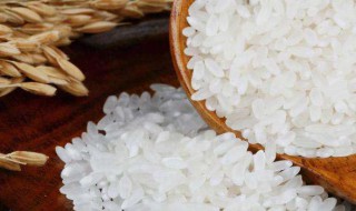 粘米是什么米 具体内容如下