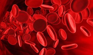 血液的主要功能是什么 血液的主要功能介绍
