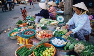 越南人口 越南有多少人口