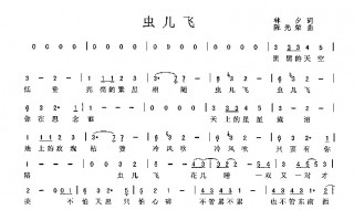 虫儿飞歌词 虫儿飞歌词完整版