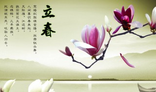 节气是农历还是阳历 一年中有多少个节气