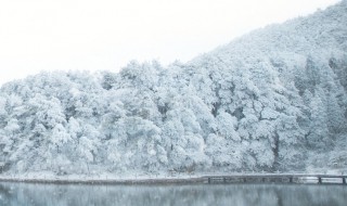 苍山负雪明烛天南的负是什么意思 苍山负雪明烛天南原文介绍