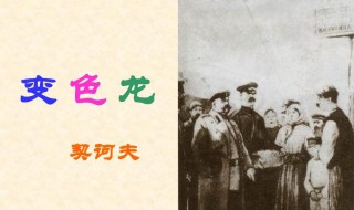 变色龙主旨 变色龙的主题是什么