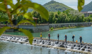 春季钓鱼水深多少合适 其他季节钓鱼水深有又是多少