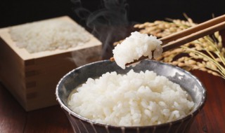 油饼热量高还是米饭热量高 饼的热量和米饭的热量哪个高