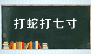 打蛇打七寸的七寸是指 打蛇打七寸所谓的七寸是什么
