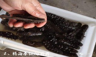 干海参泡发怎么洗（干海参泡发后怎么处理干净）