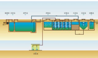 污水处理的主要方法是什么（污水处理可分为哪几种方法）