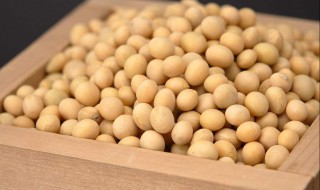 豆制品的营养价值 豆制品的营养价值高于大豆
