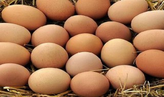蛋营养价值（芦丁鸡蛋营养价值）