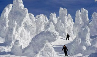 日本西部冬季降雪多的原因 日本西部冬季降雪多的原因是什么