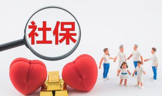 社保个人代码怎么查询 社保个人代码怎么查询咯