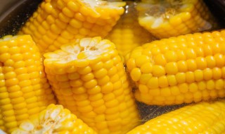 煮玉米的水有什么功效 煮玉米水有什么作用与功效