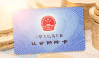 公司社保编号怎么查（公司社保编号怎么查看）