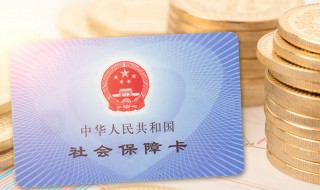 个人怎么申请社保卡 个人怎么申请社保卡账号