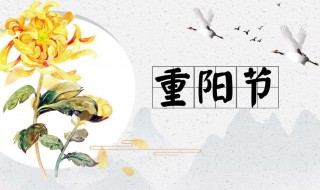 重阳节赏菊古诗 重阳节咏菊的诗句