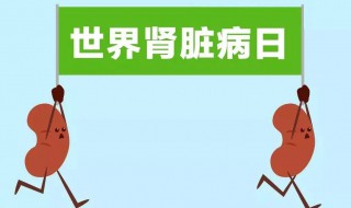 怎样保护肾脏健康 保护肾脏健康的方法