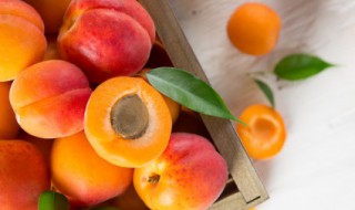 减肥最好的水果 减肥最好的水果排名