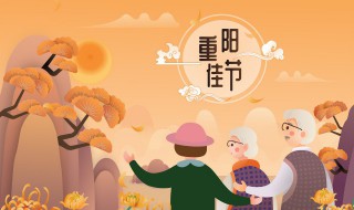 九月九日重阳节诗句（九月九日重阳节古诗大全）