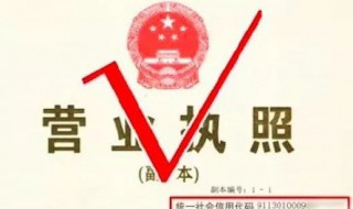 营业执照名字要怎么起（营业执照名字要怎么起才好）