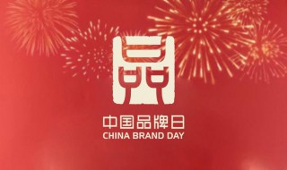 中国品牌日设立于哪一年（中国品牌日是哪一年）