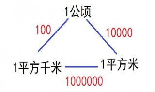 平方千米和公顷的进率是多少 了解一下