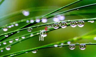 谷雨节气的诗词（谷雨节气的诗词名句）